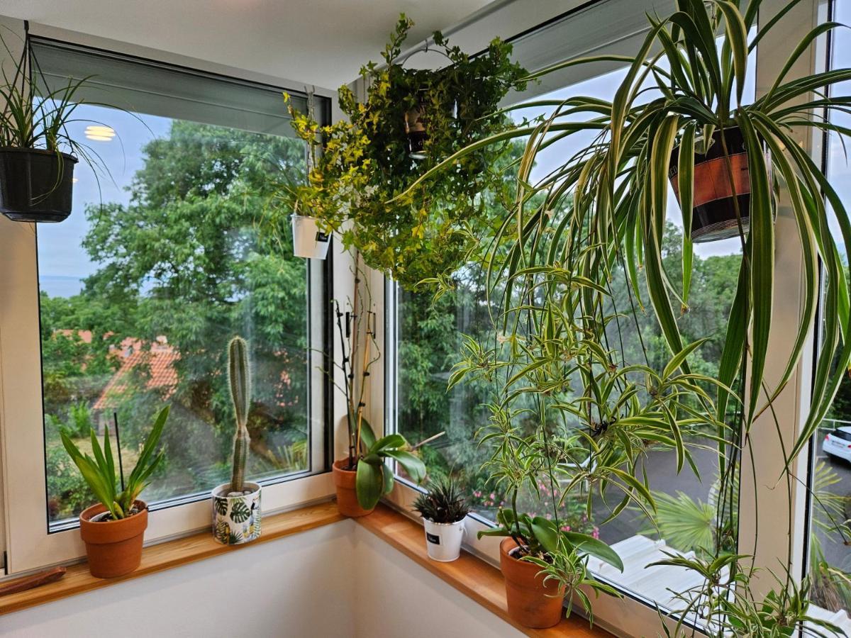 Apartman Carnevalus Рийека Екстериор снимка